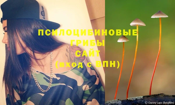 таблы Алексин