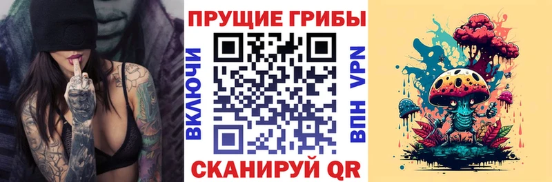 Псилоцибиновые грибы GOLDEN TEACHER  mega ONION  Циолковский  закладки 
