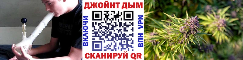 Канабис ГИДРОПОН  Циолковский 